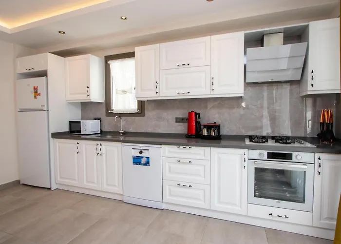 公寓 Sirius 费特希耶